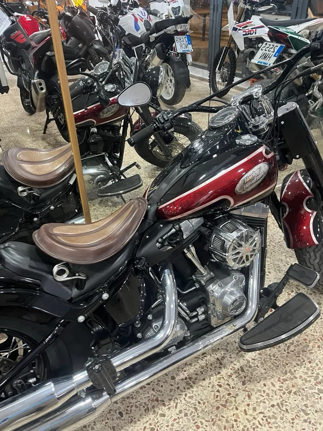 HARLEY DAVIDSON SOFTAIL SLIM - Imagen 9