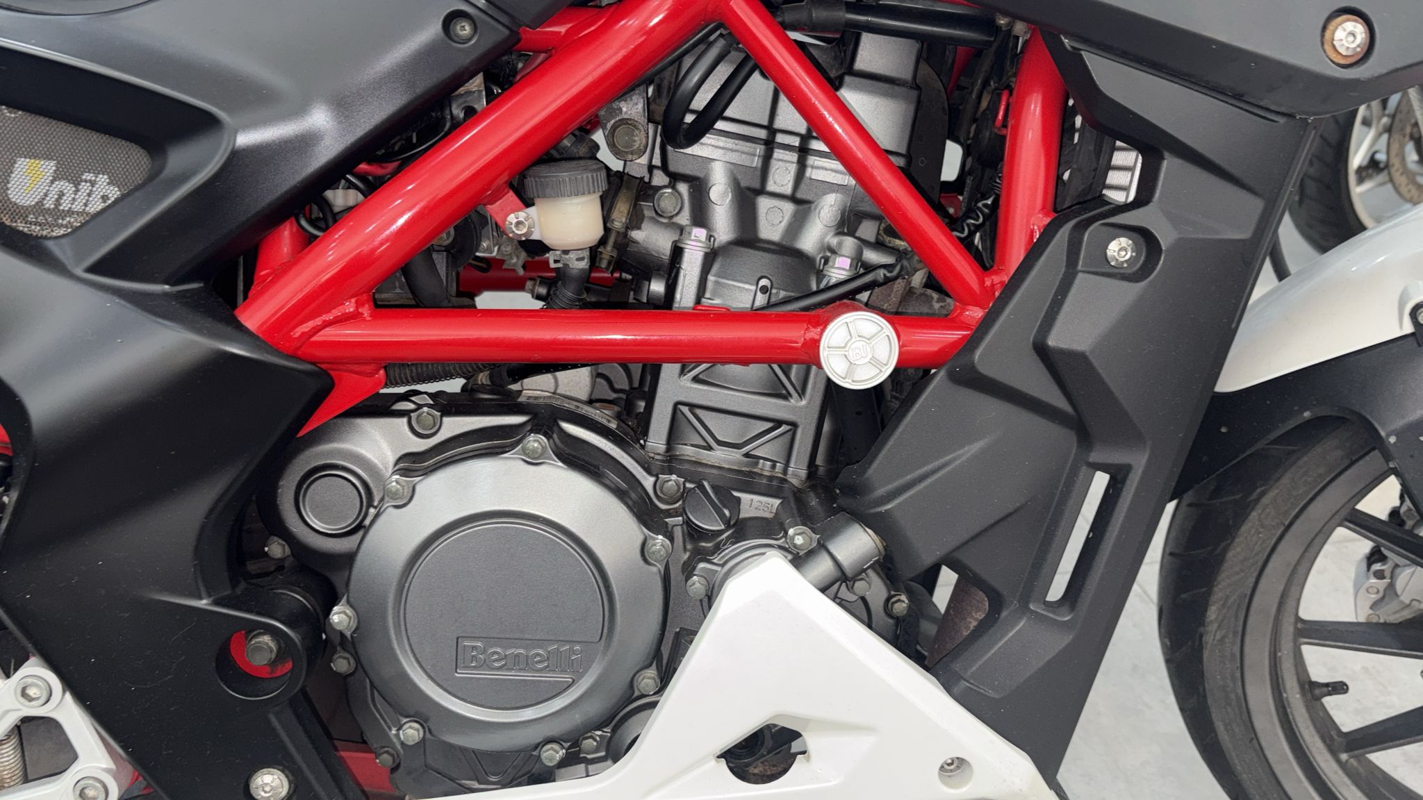 BENELLI BN 251 - Imagen 10