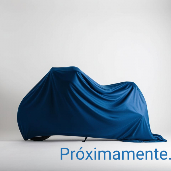 HARLEY-DAVIDSON ROAD KING CLASSIC